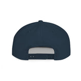 TINFOIL - Hat Funny Conspiracy Theory Pun Alien UFO Lover Punny Sarcastic 6 Panel Flat Snapback Cap