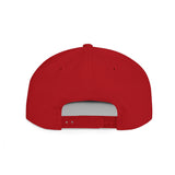 TINFOIL - Hat Funny Conspiracy Theory Pun Alien UFO Lover Punny Sarcastic 6 Panel Flat Snapback Cap