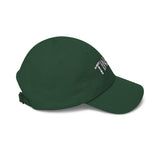 TINFOIL - hat Funny Conspiracy Theory Pun Alien UFO Lover Punny Sarcastic Embroidered Dad Cap